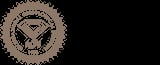 International Gemological Institute seal badge with diamond symbol, established 1975